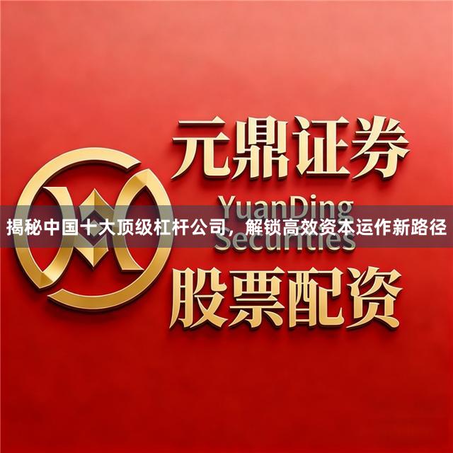 揭秘中国十大顶级杠杆公司，解锁高效资本运作新路径