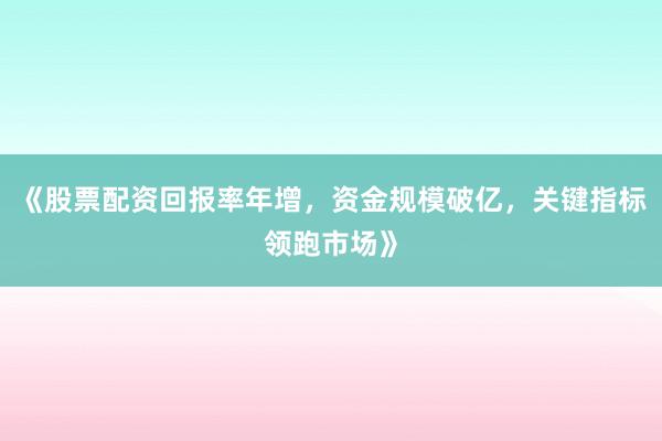《股票配资回报率年增，资金规模破亿，关键指标领跑市场》