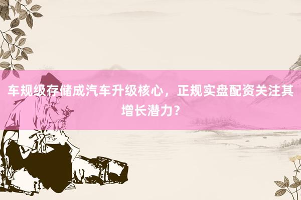 车规级存储成汽车升级核心，正规实盘配资关注其增长潜力？