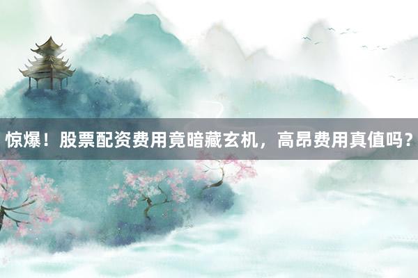 惊爆！股票配资费用竟暗藏玄机，高昂费用真值吗？
