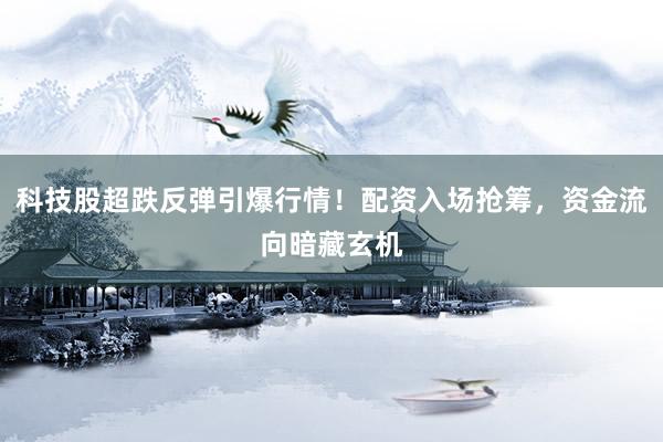 科技股超跌反弹引爆行情！配资入场抢筹，资金流向暗藏玄机