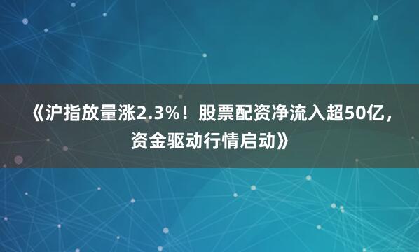 《沪指放量涨2.3%！股票配资净流入超50亿，资金驱动行情启动》