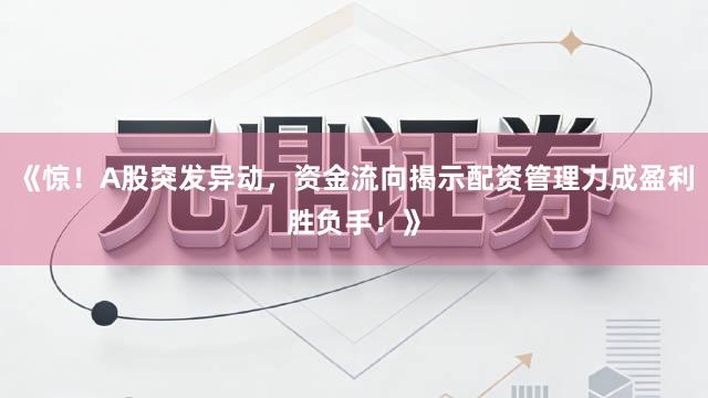 《惊!A股突发异动,资金流向揭示配资管理力成盈利胜负手!》