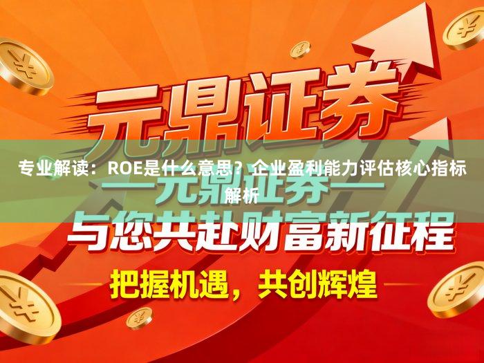 专业解读：ROE是什么意思？企业盈利能力评估核心指标解析