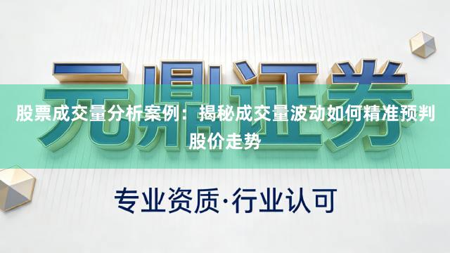 股票成交量分析案例:揭秘成交量波动如何精准预判股价走势