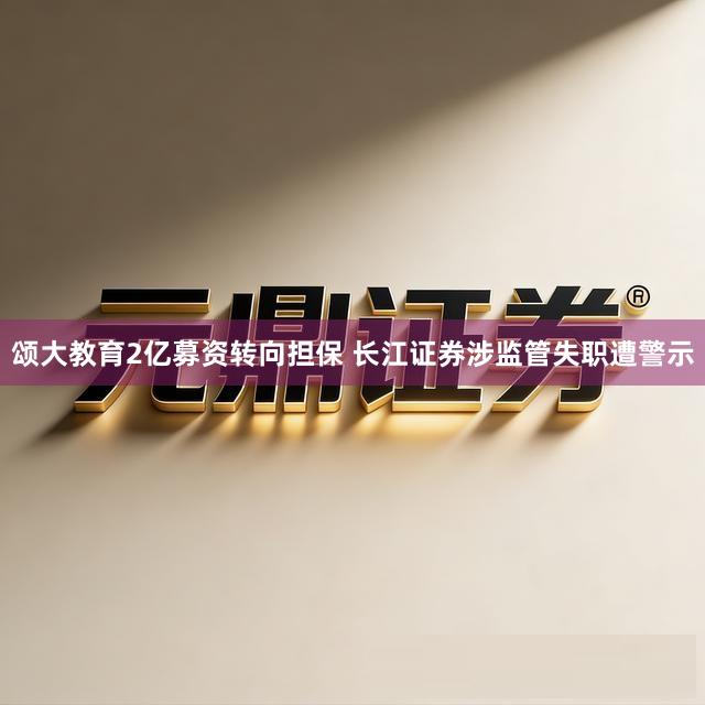 颂大教育2亿募资转向担保 长江证券涉监管失职遭警示