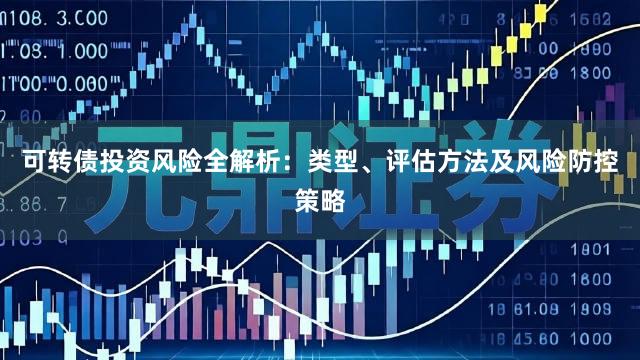 可转债投资风险全解析：类型、评估方法及风险防控策略