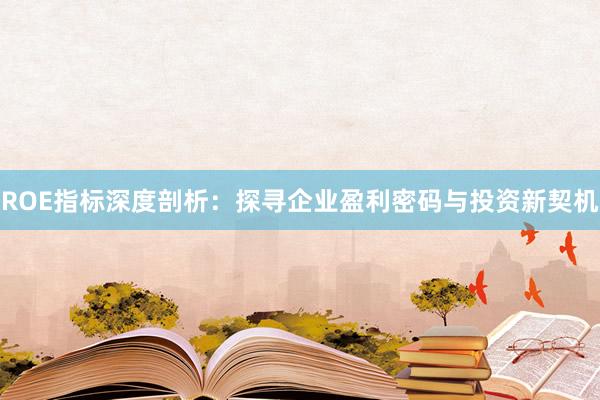 ROE指标深度剖析：探寻企业盈利密码与投资新契机