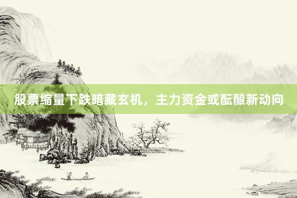 股票缩量下跌暗藏玄机，主力资金或酝酿新动向